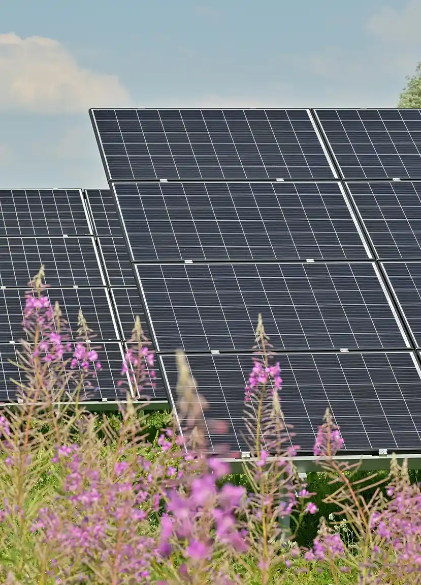 panneau solaire agen agrivoltaisme